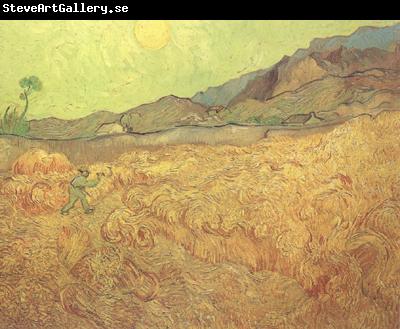 Vincent Van Gogh Wheat Fields with Reaper at Sunrise (nn04)